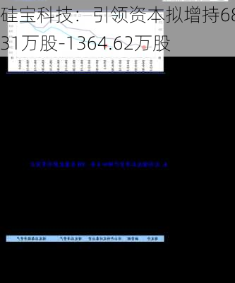 硅宝科技：引领资本拟增持682.31万股-1364.62万股