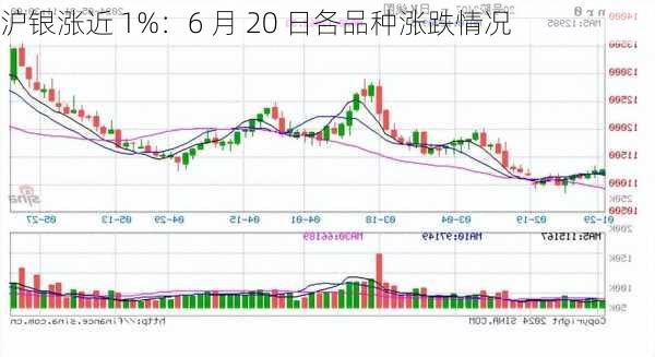 沪银涨近 1%：6 月 20 日各品种涨跌情况