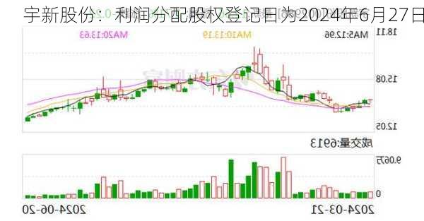 宇新股份：利润分配股权登记日为2024年6月27日