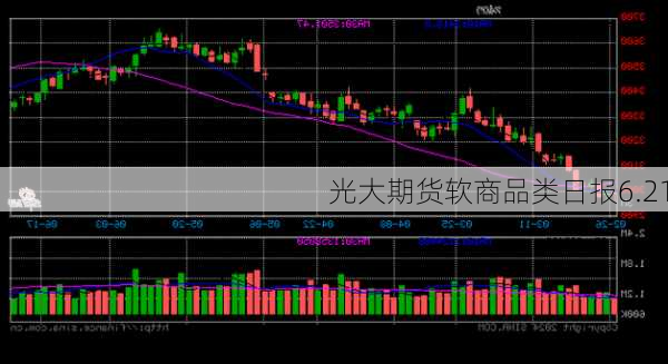 光大期货软商品类日报6.21