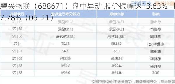 碧兴物联（688671）盘中异动 股价振幅达13.63%  上涨7.78%（06-21）