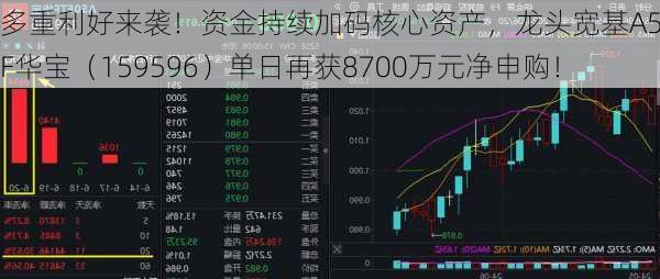 多重利好来袭！资金持续加码核心资产，龙头宽基A50ETF华宝（159596）单日再获8700万元净申购！