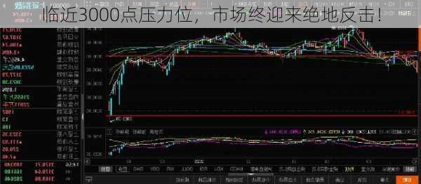 临近3000点压力位，市场终迎来绝地反击！