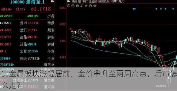 贵金属板块涨幅居前，金价攀升至两周高点，后市怎么走？