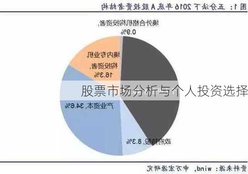 股票市场分析与个人投资选择