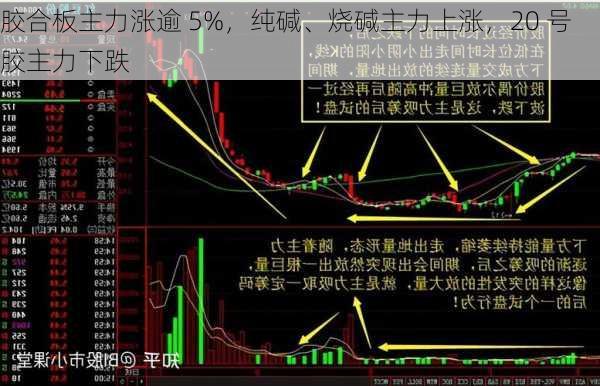 胶合板主力涨逾 5%，纯碱、烧碱主力上涨，20 号胶主力下跌