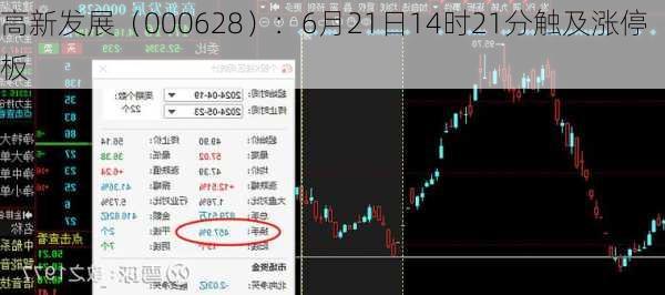 高新发展（000628）：6月21日14时21分触及涨停板