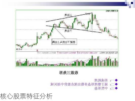 核心股票特征分析