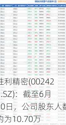 胜利精密(002426.SZ)：截至6月20日，公司股东人数约为10.70万