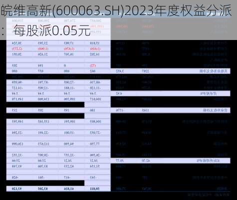 皖维高新(600063.SH)2023年度权益分派：每股派0.05元