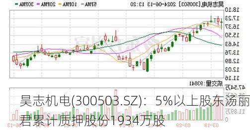 昊志机电(300503.SZ)：5%以上股东汤丽君累计质押股份1934万股