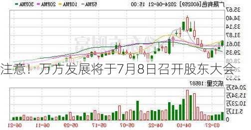 注意！万方发展将于7月8日召开股东大会