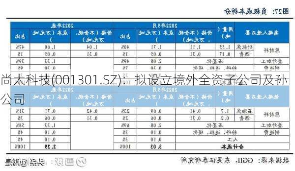 尚太科技(001301.SZ)：拟设立境外全资子公司及孙公司