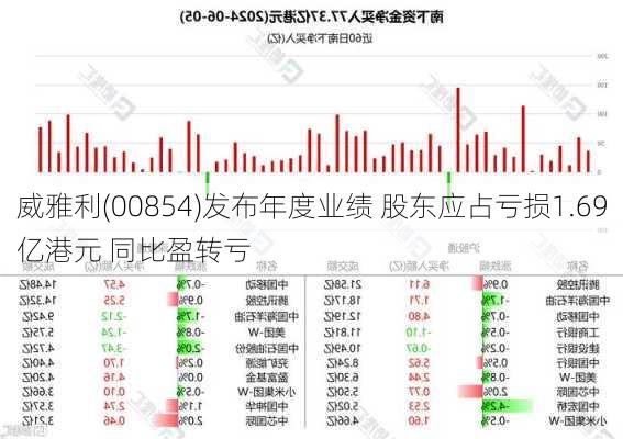 威雅利(00854)发布年度业绩 股东应占亏损1.69亿港元 同比盈转亏