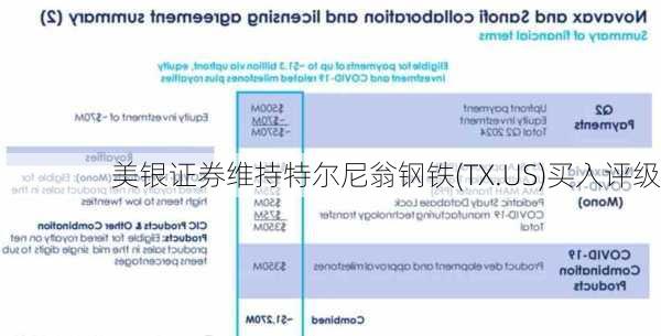 美银证券维持特尔尼翁钢铁(TX.US)买入评级