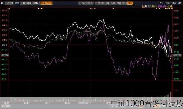 中证1000看多科技股