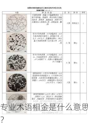 专业术语相金是什么意思？