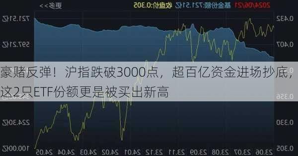 豪赌反弹！沪指跌破3000点，超百亿资金进场抄底，这2只ETF份额更是被买出新高