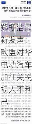 郑栅洁最新发声：欧盟对华电动汽车加征关税损人不利己