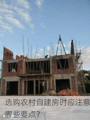 选购农村自建房时应注意哪些要点？