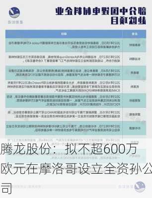 腾龙股份：拟不超600万欧元在摩洛哥设立全资孙公司