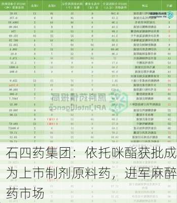 石四药集团：依托咪酯获批成为上市制剂原料药，进军麻醉药市场