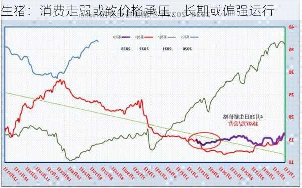 生猪：消费走弱或致价格承压，长期或偏强运行