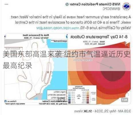 美国东部高温来袭 纽约市气温逼近历史最高纪录