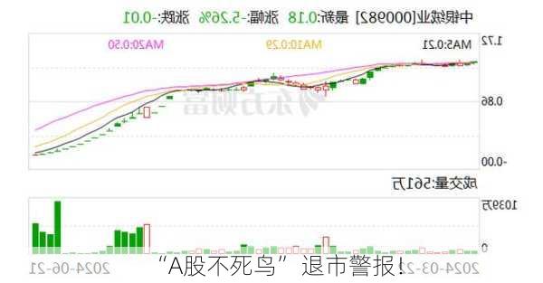 “A股不死鸟” 退市警报！