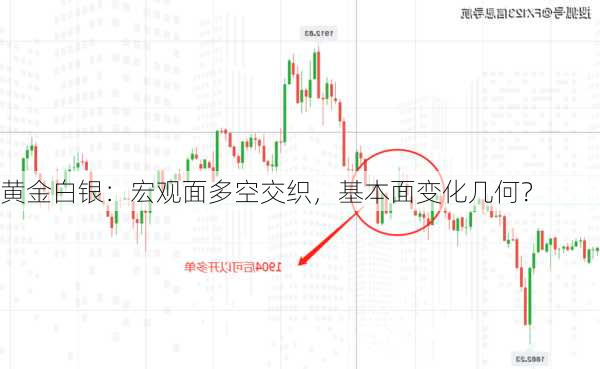 黄金白银：宏观面多空交织，基本面变化几何？