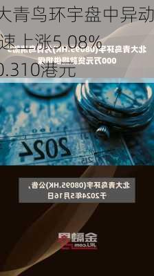 北大青鸟环宇盘中异动 快速上涨5.08%报0.310港元