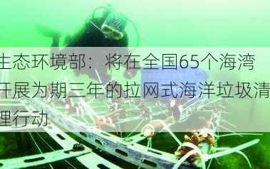 生态环境部：将在全国65个海湾开展为期三年的拉网式海洋垃圾清理行动