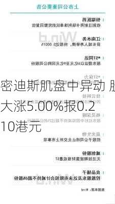 密迪斯肌盘中异动 股价大涨5.00%报0.210港元