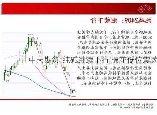 中天期货:纯碱继续下行 棉花低位震荡