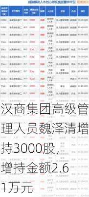 汉商集团高级管理人员魏泽清增持3000股，增持金额2.61万元