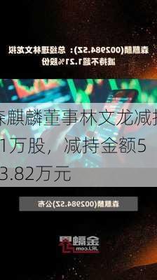 森麒麟董事林文龙减持21万股，减持金额533.82万元