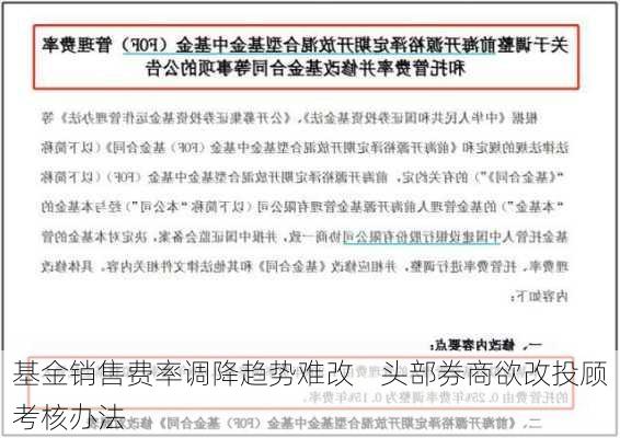 基金销售费率调降趋势难改    头部券商欲改投顾考核办法