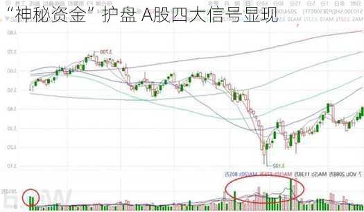 “神秘资金”护盘 A股四大信号显现