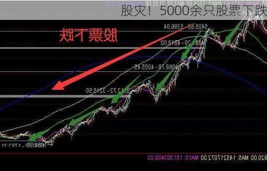 股灾！5000余只股票下跌