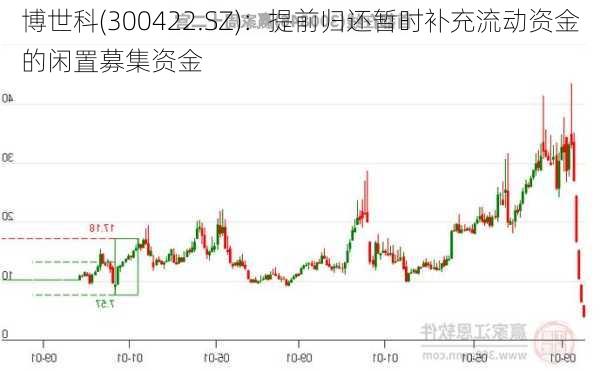 博世科(300422.SZ)：提前归还暂时补充流动资金的闲置募集资金