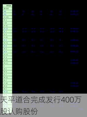 天平道合完成发行400万股认购股份