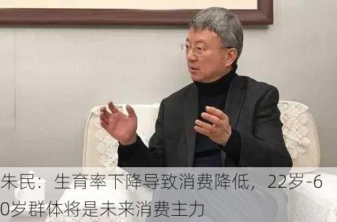 朱民：生育率下降导致消费降低，22岁-60岁群体将是未来消费主力