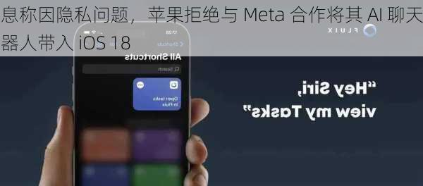 消息称因隐私问题，苹果拒绝与 Meta 合作将其 AI 聊天机器人带入 iOS 18