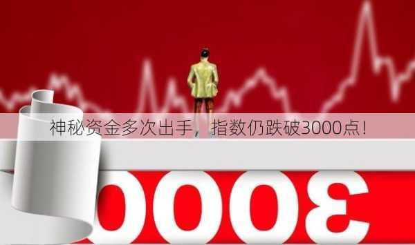 神秘资金多次出手，指数仍跌破3000点！