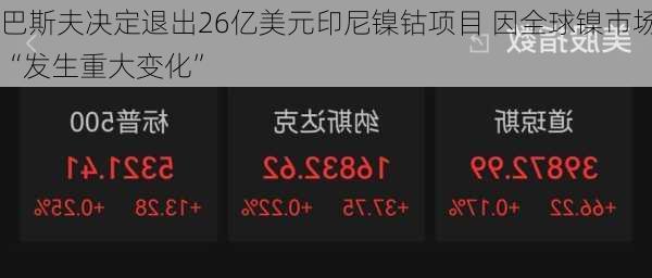 巴斯夫决定退出26亿美元印尼镍钴项目 因全球镍市场“发生重大变化”