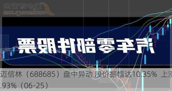 迈信林（688685）盘中异动 股价振幅达10.35%  上涨6.93%（06-25）