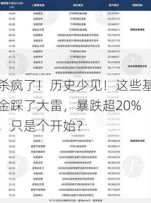 杀疯了！历史少见！这些基金踩了大雷，暴跌超20%，只是个开始？