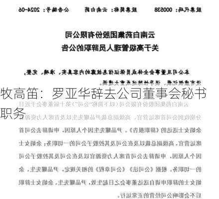 牧高笛：罗亚华辞去公司董事会秘书职务