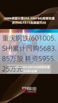 重庆钢铁(601005.SH)累计回购5683.85万股 耗资5955.25万元