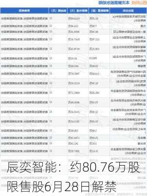 辰奕智能：约80.76万股限售股6月28日解禁